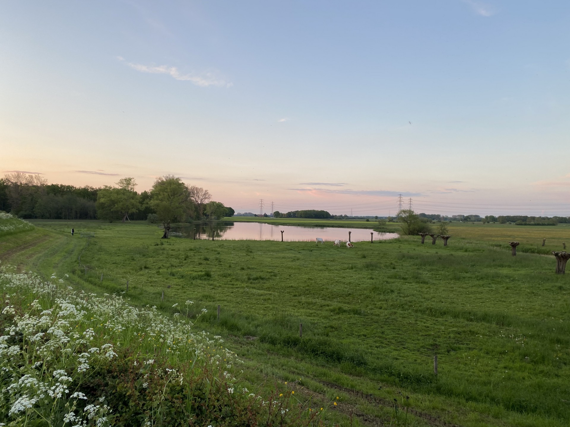 Zwarte kolk in de uiterwaarden bij het Kloosterbos in Wapenveld